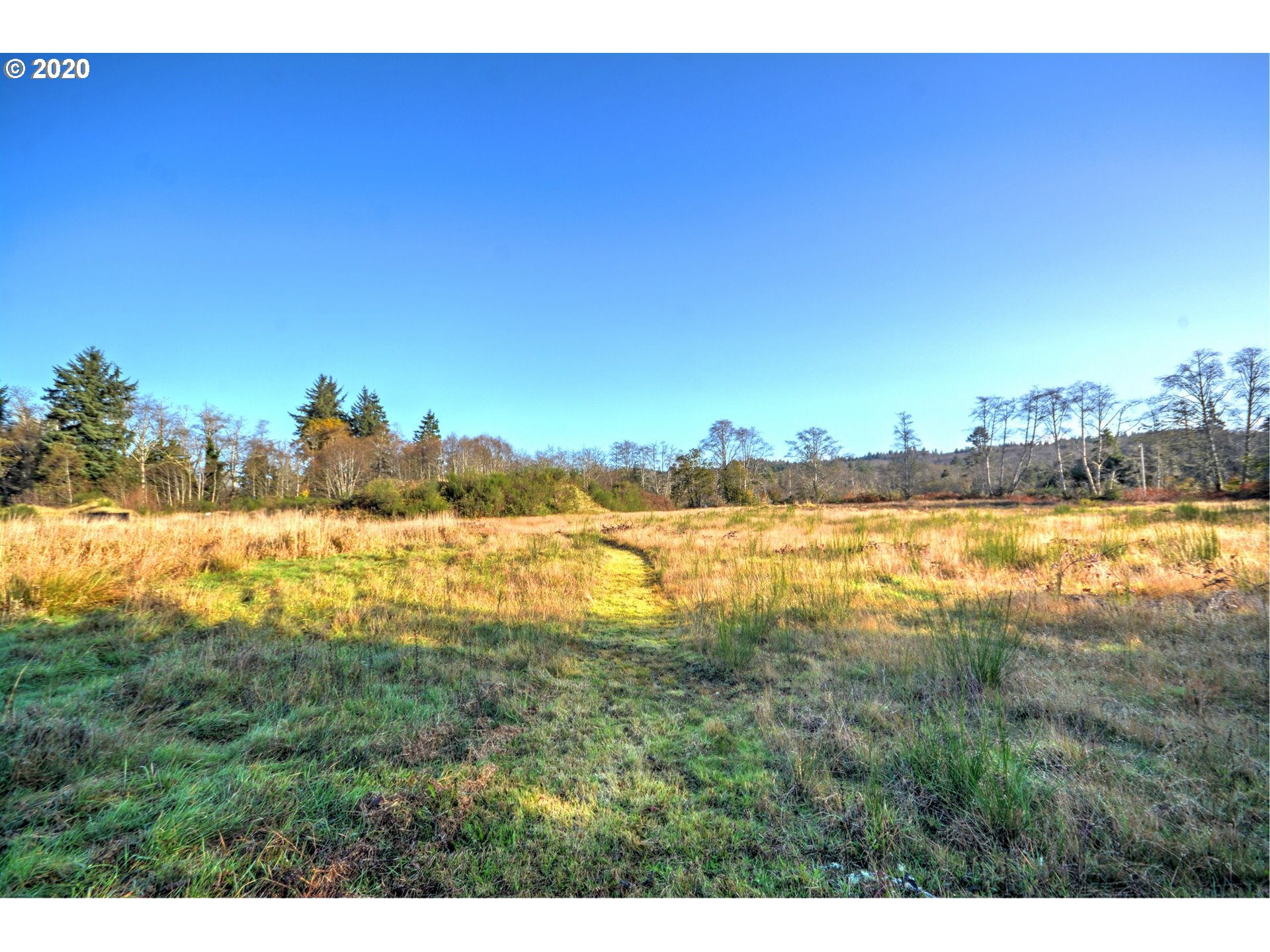 Mccormick Garden Road Gearhart, OR 97138 - Photo 11 of 19 Gallery Image 11