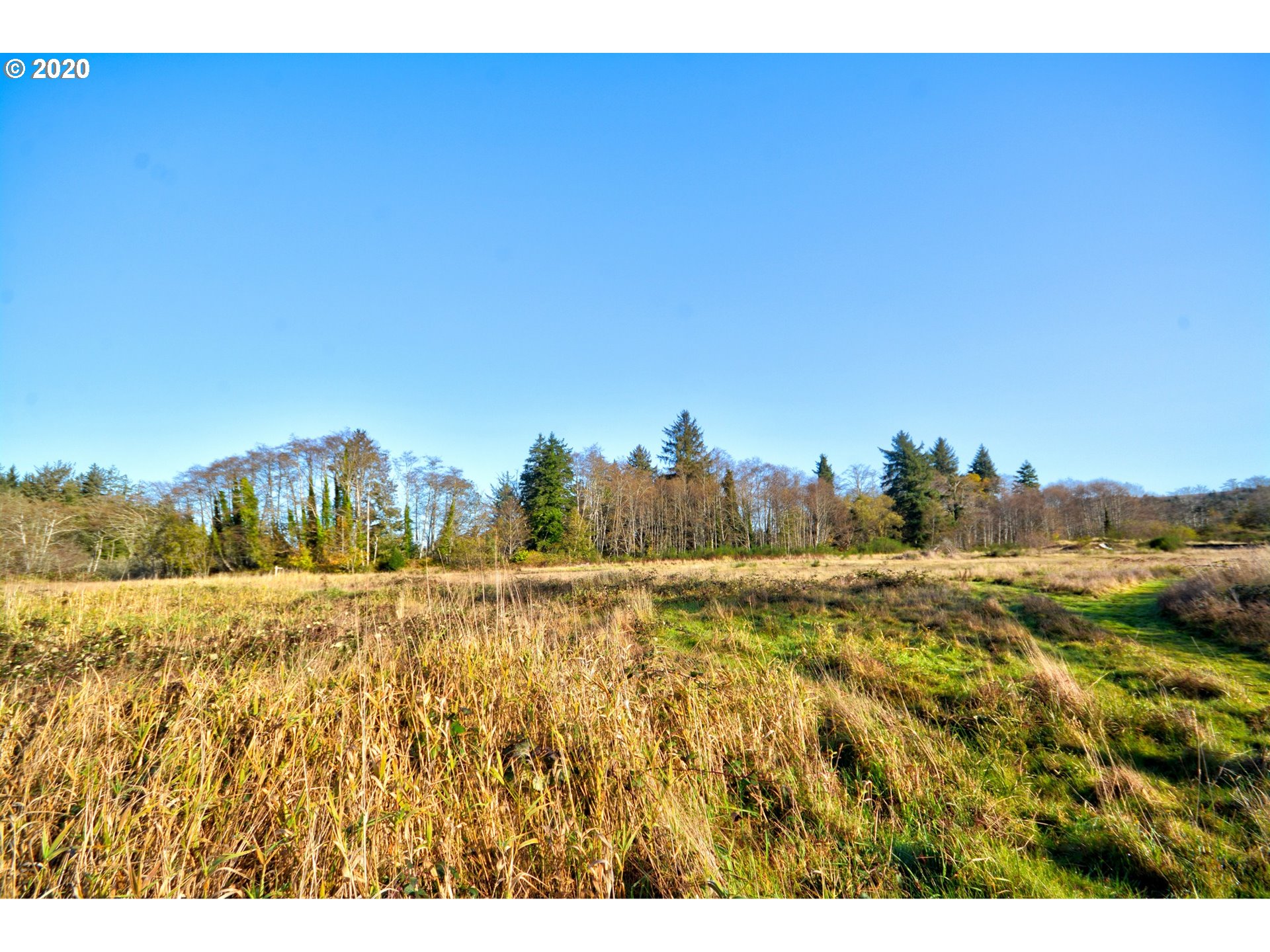 Mccormick Garden Road Gearhart, OR 97138 - Photo 12 of 19 Gallery Image 12