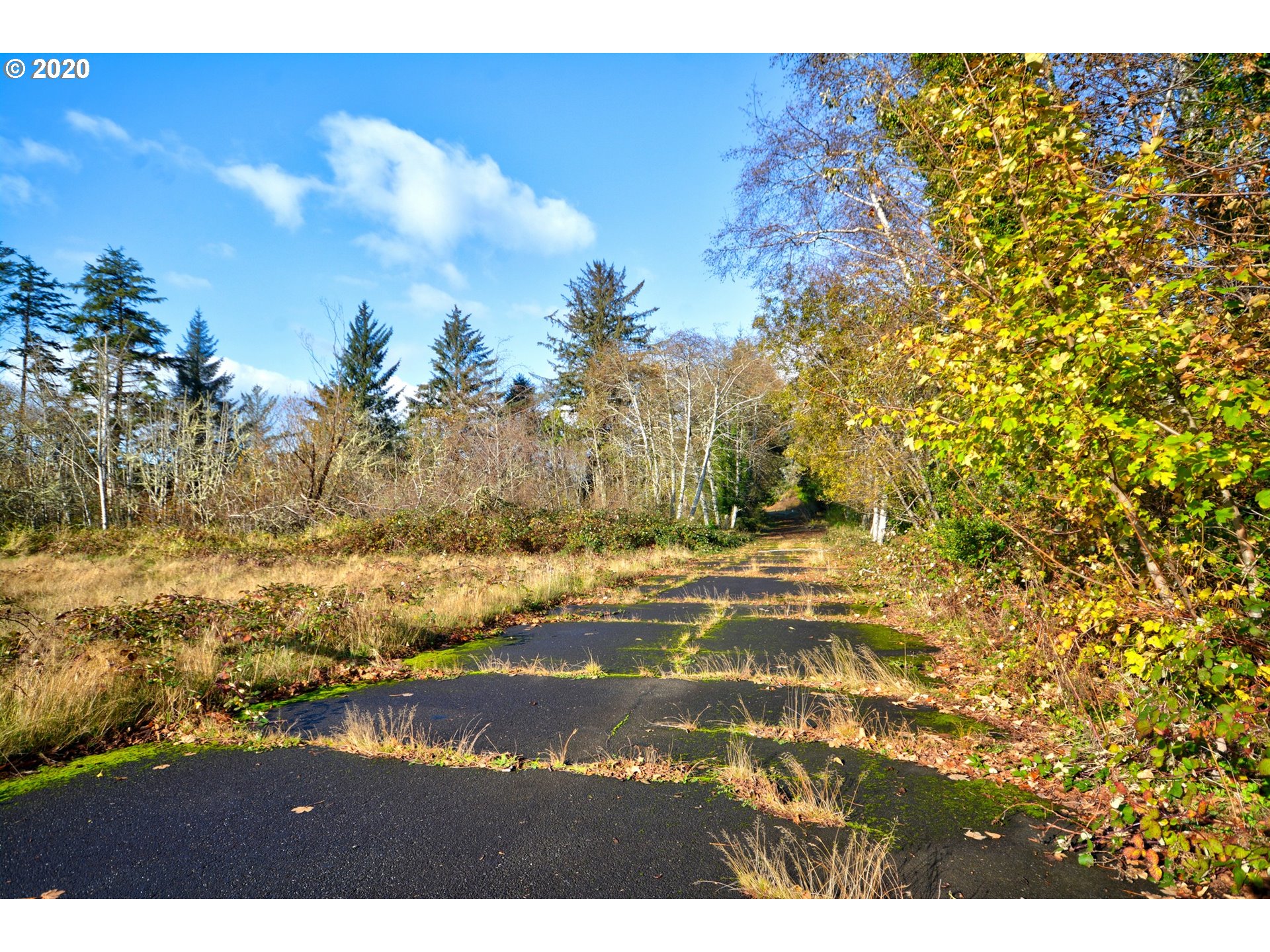 Mccormick Garden Road Gearhart, OR 97138 - Photo 17 of 19 Gallery Image 17