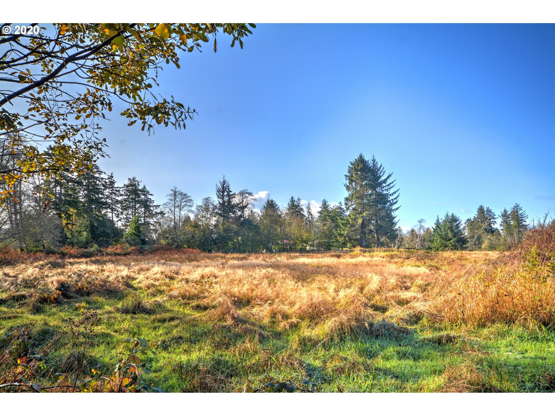 Mccormick Garden Road Gearhart, OR 97138 - Photo 10 of 19 Gallery Image 10