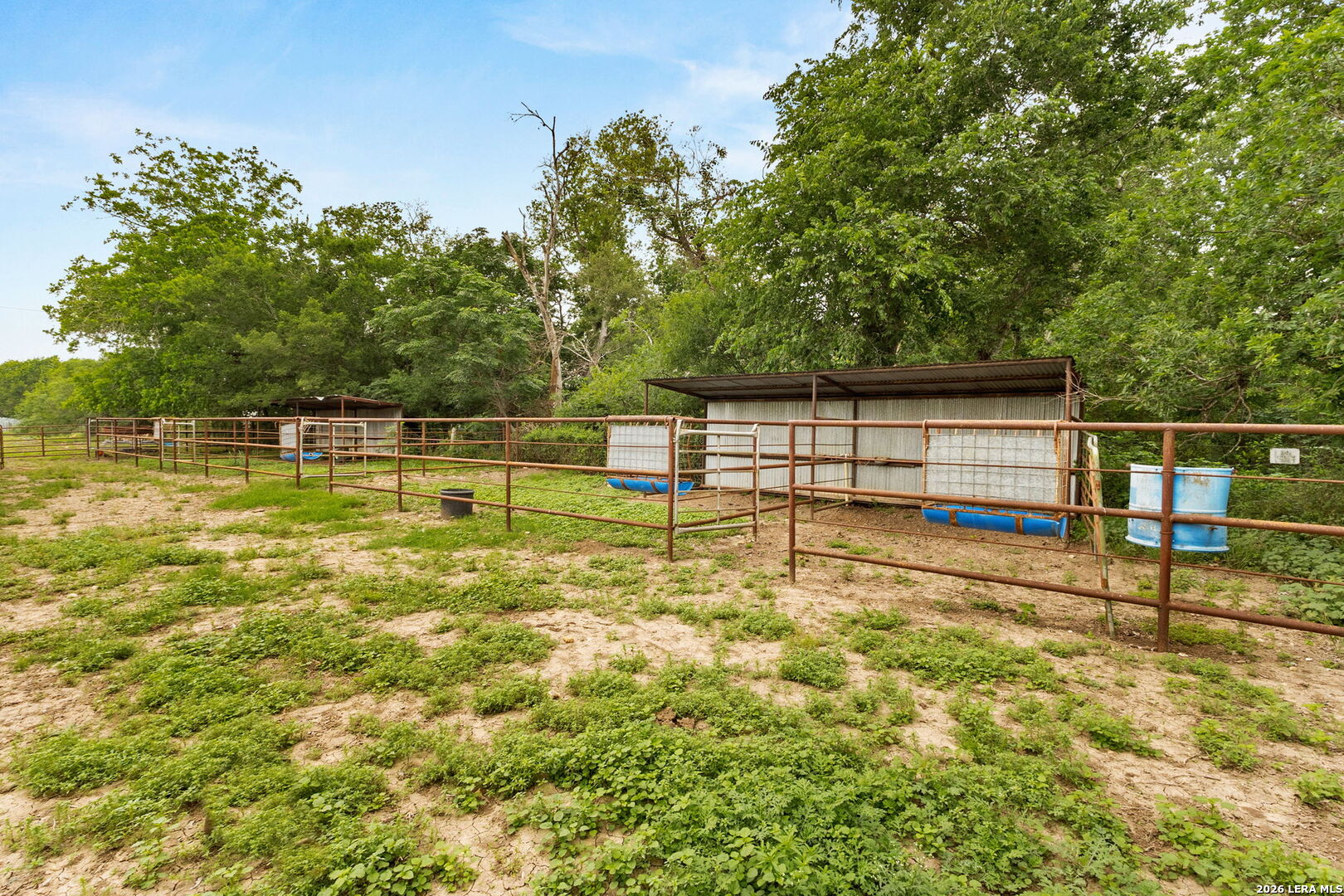 350 Ullrich Road Marion, TX 78124 - Photo 41 of 43 a view of a yard with large trees