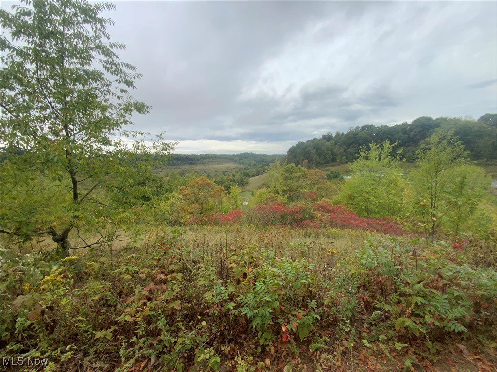 Taylor Road Dennison, OH 44621 - Photo 8 of 27 View of landscape with a forest view