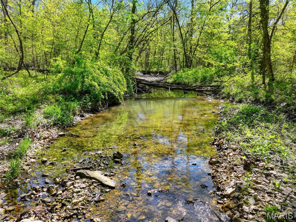 177-ac Tree Farm Road New Florence, MO 63363 - Photo 11 of 31