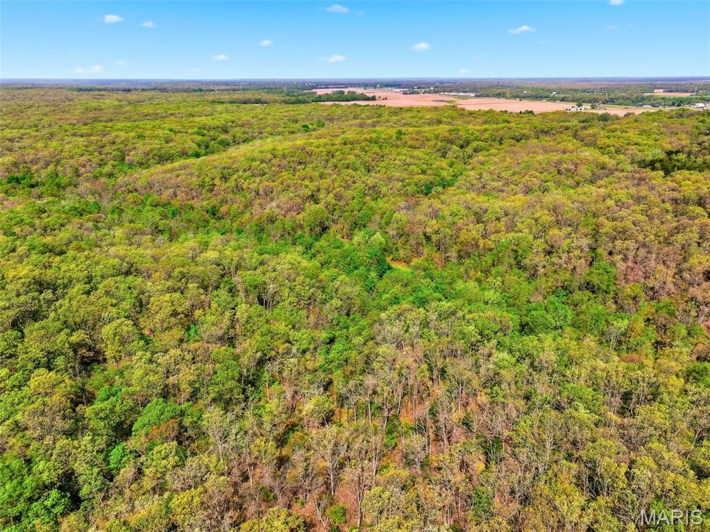 177-ac Tree Farm Road New Florence, MO 63363 - Photo 15 of 31