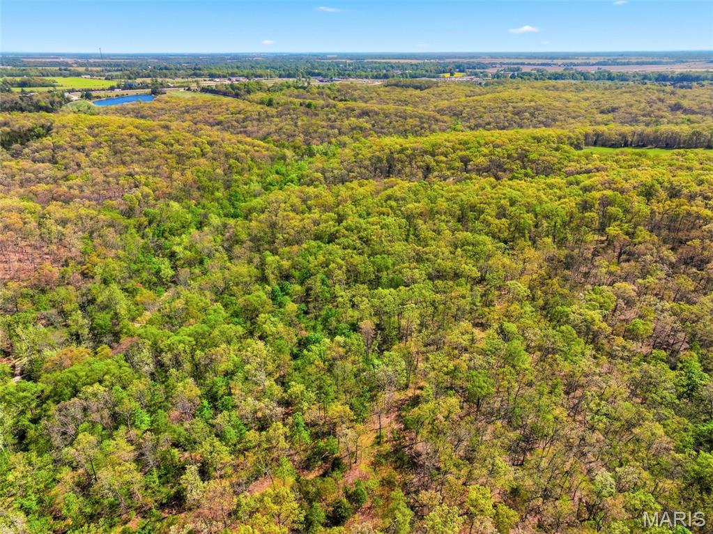 177-ac Tree Farm Road New Florence, MO 63363 - Photo 18 of 31