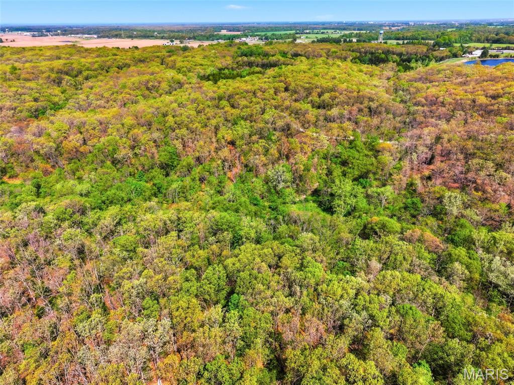 177-ac Tree Farm Road New Florence, MO 63363 - Photo 19 of 31