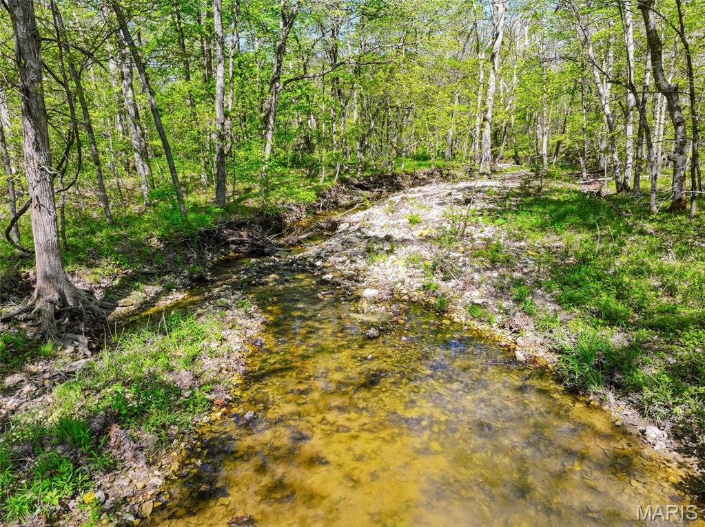 177-ac Tree Farm Road New Florence, MO 63363 - Photo 2 of 31