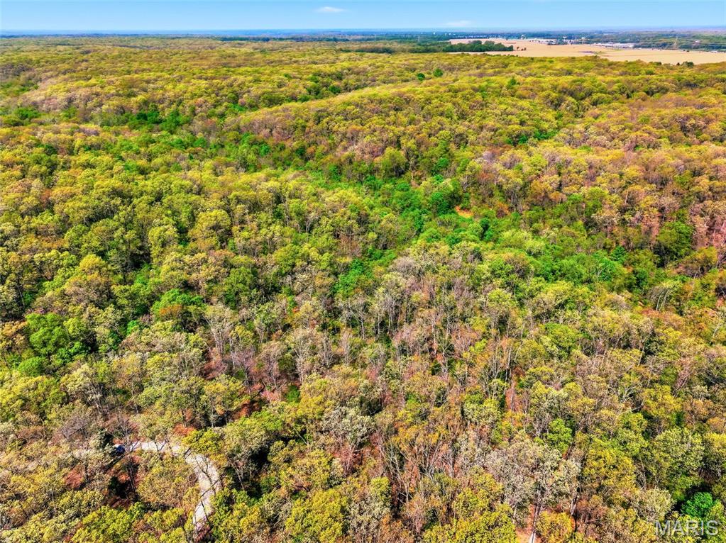 177-ac Tree Farm Road New Florence, MO 63363 - Photo 21 of 31