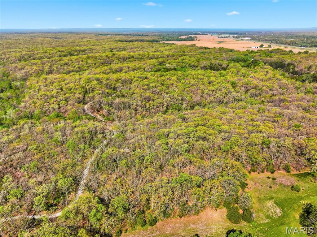 177-ac Tree Farm Road New Florence, MO 63363 - Photo 10 of 31