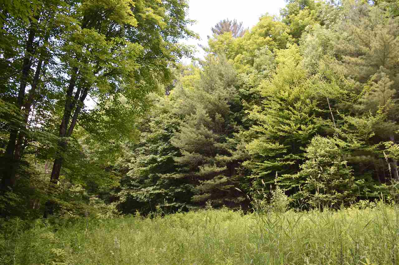 273 Minister Brook Road Worcester, VT 05682 - Photo 23 of 39