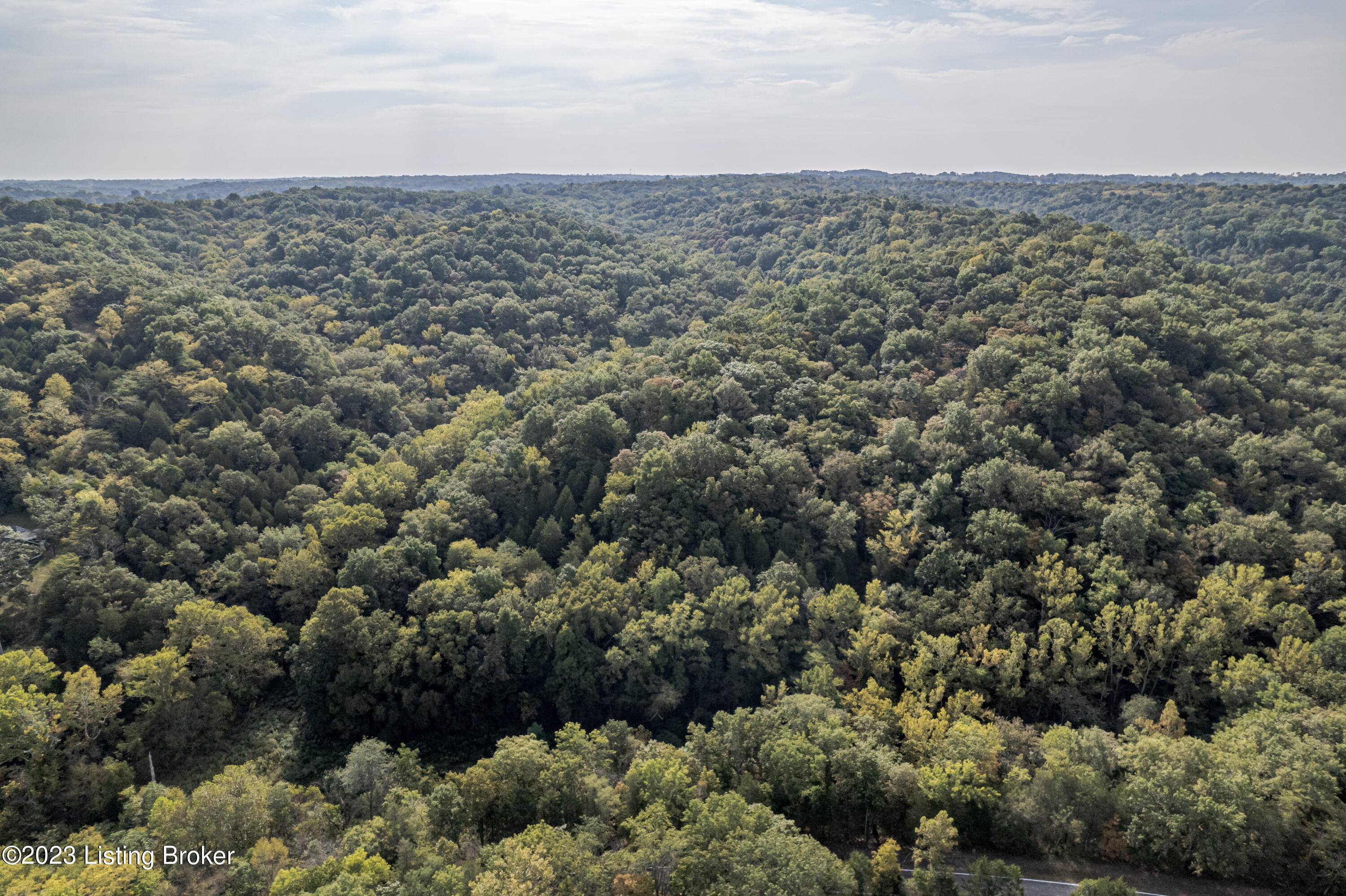8001 Covington Ridge Road La Grange, KY 40031 - Photo 26 of 27 DJI_0852