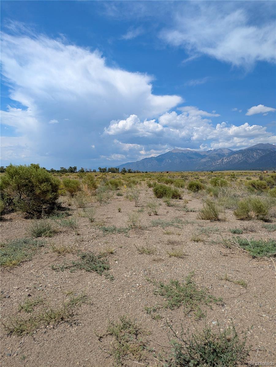 411 Camino Del Rey Crestone, CO 81131 - Photo 4 of 10