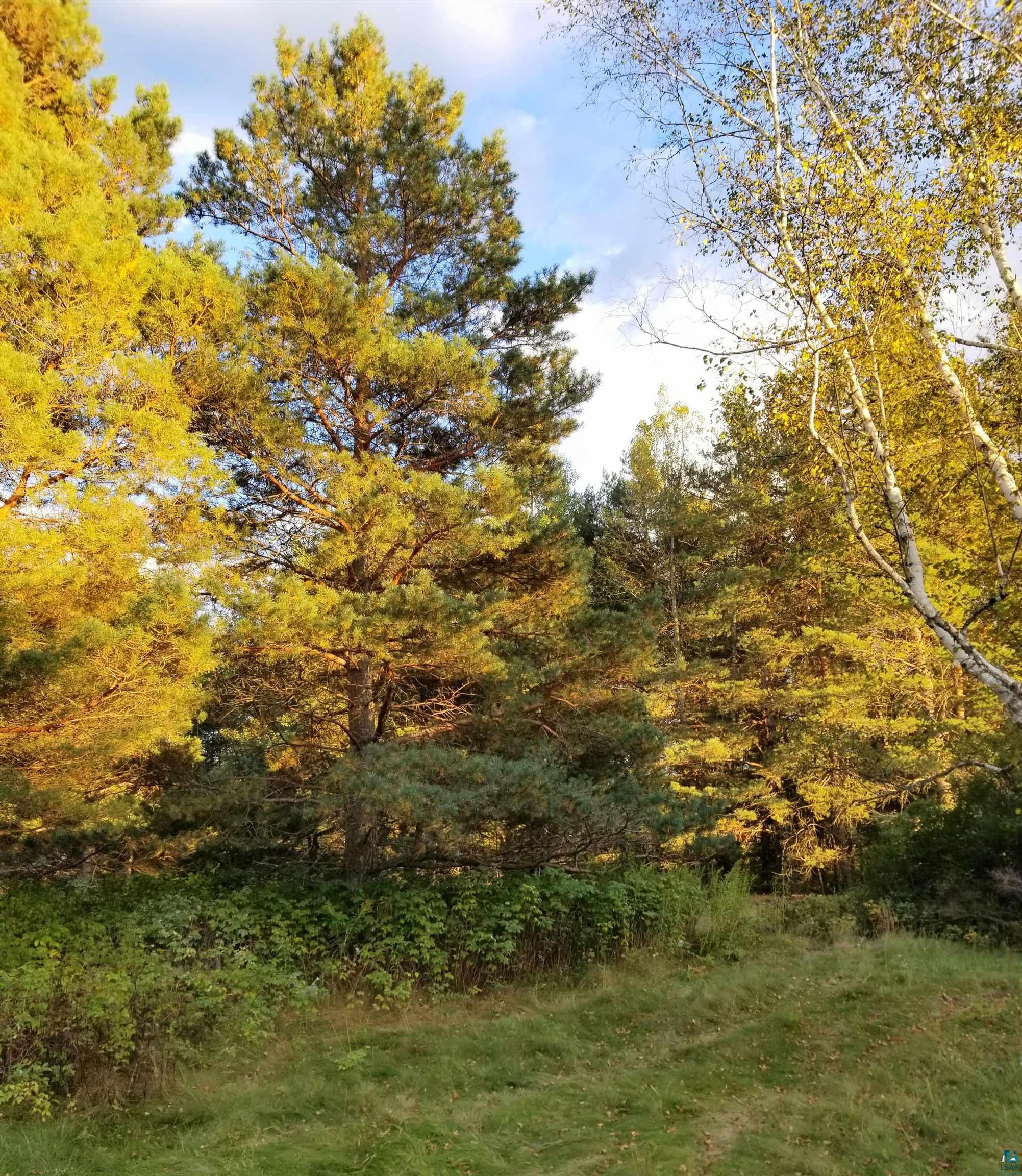 59-xx Morris Thomas Road Duluth, MN 55810 - Photo 3 of 16 Gallery Image 3