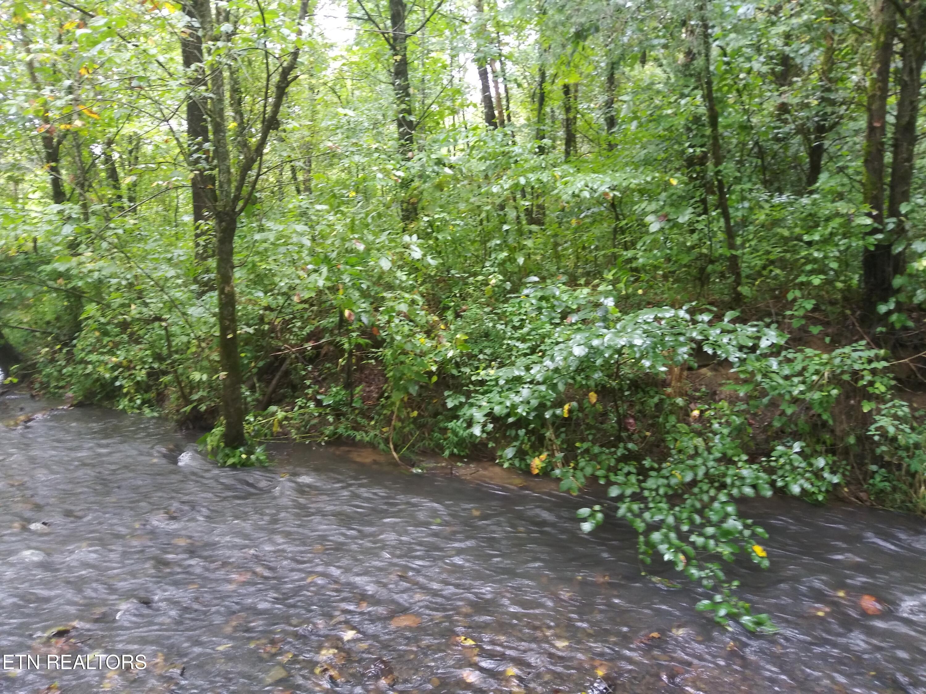 1333 Cherry Street Rutledge, TN 37861 - Photo 16 of 26 Creek