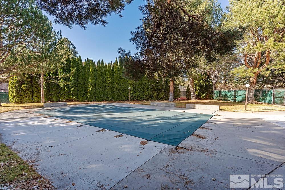 4386 Matich Drive Reno, NV 89502 - Photo 18 of 20 a view of yard with trees