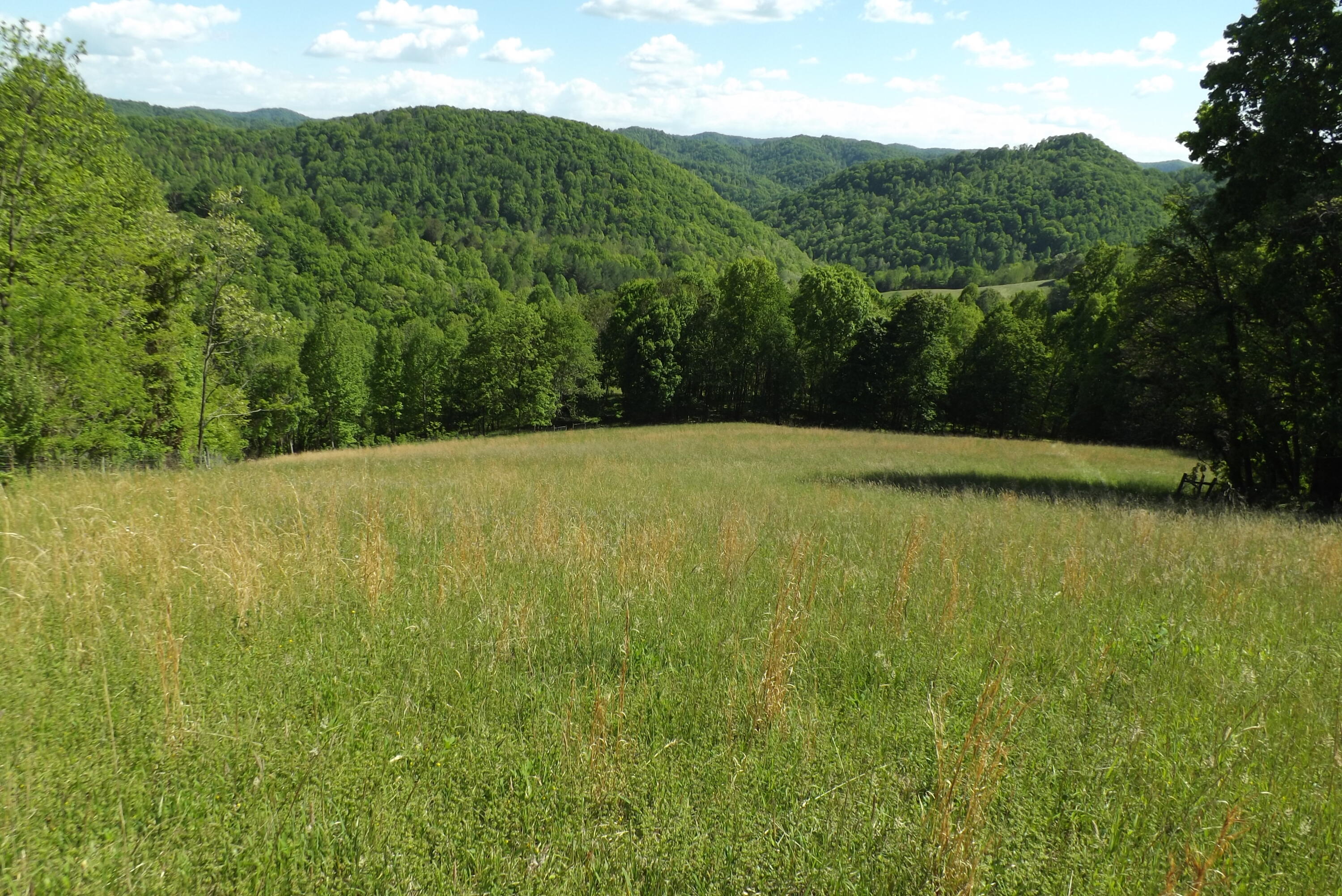 6429 Manville Road Gate City, VA 24251 - Photo 13 of 67 DSCF3682