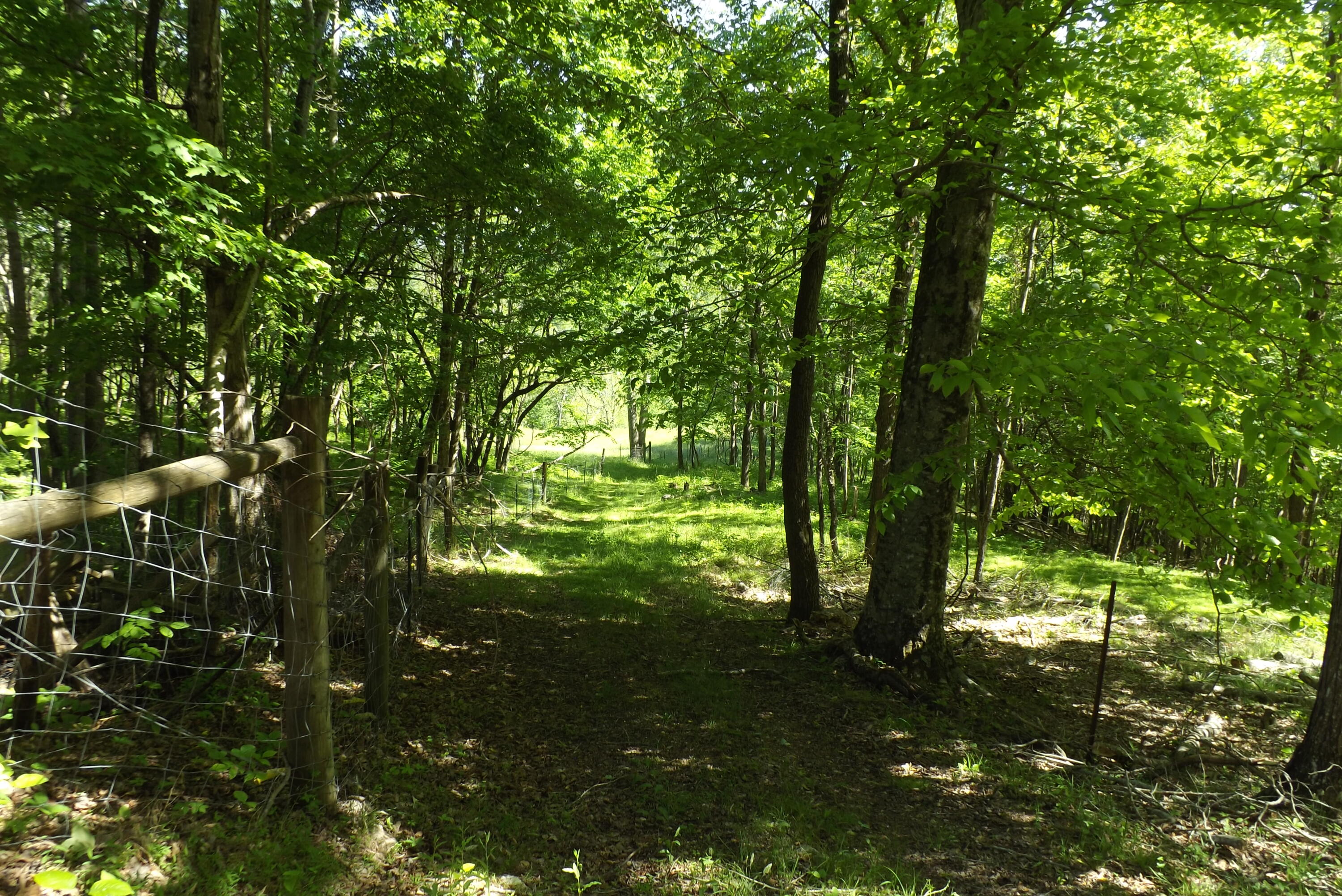 6429 Manville Road Gate City, VA 24251 - Photo 23 of 67 DSCF3692