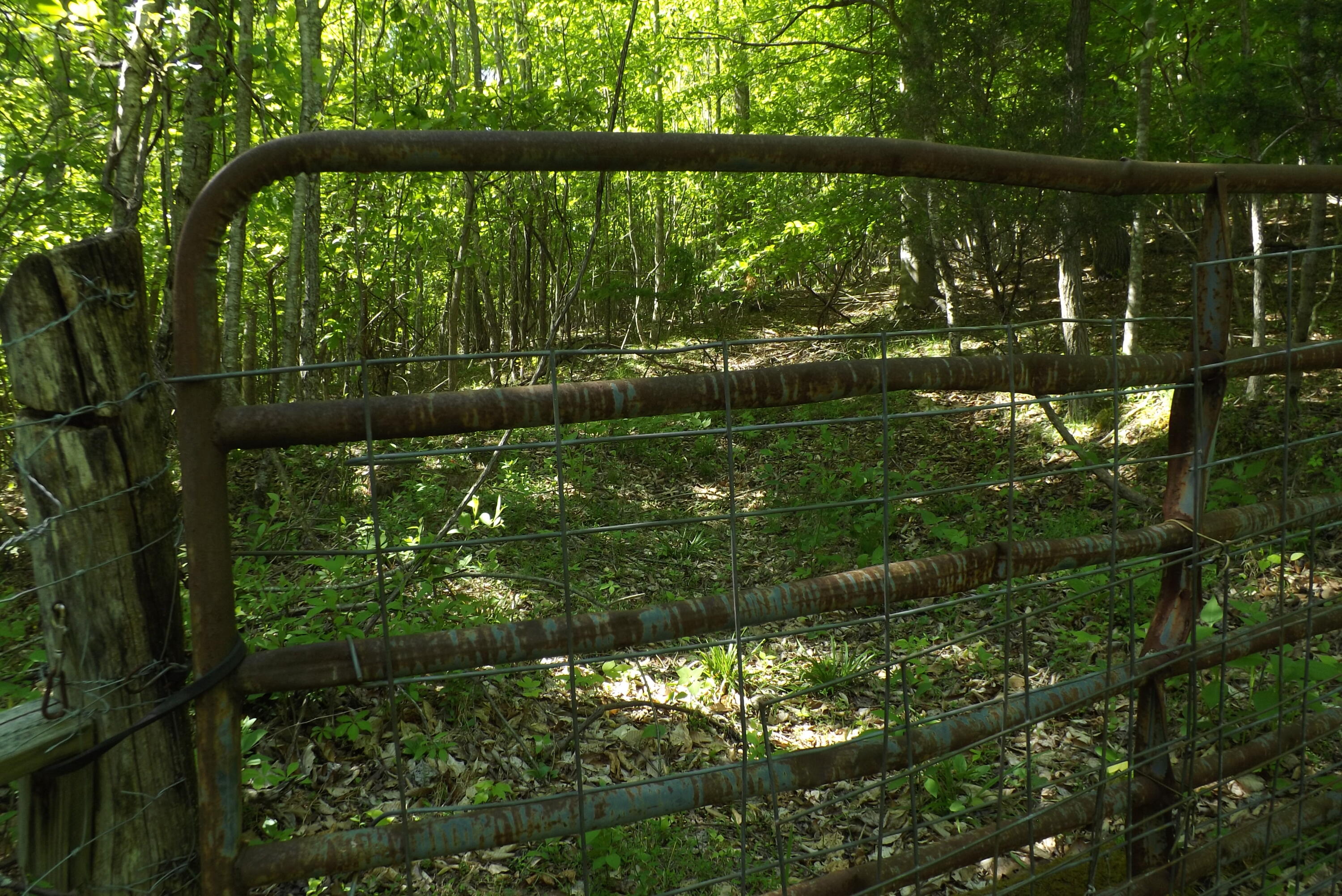 6429 Manville Road Gate City, VA 24251 - Photo 25 of 67 DSCF3694