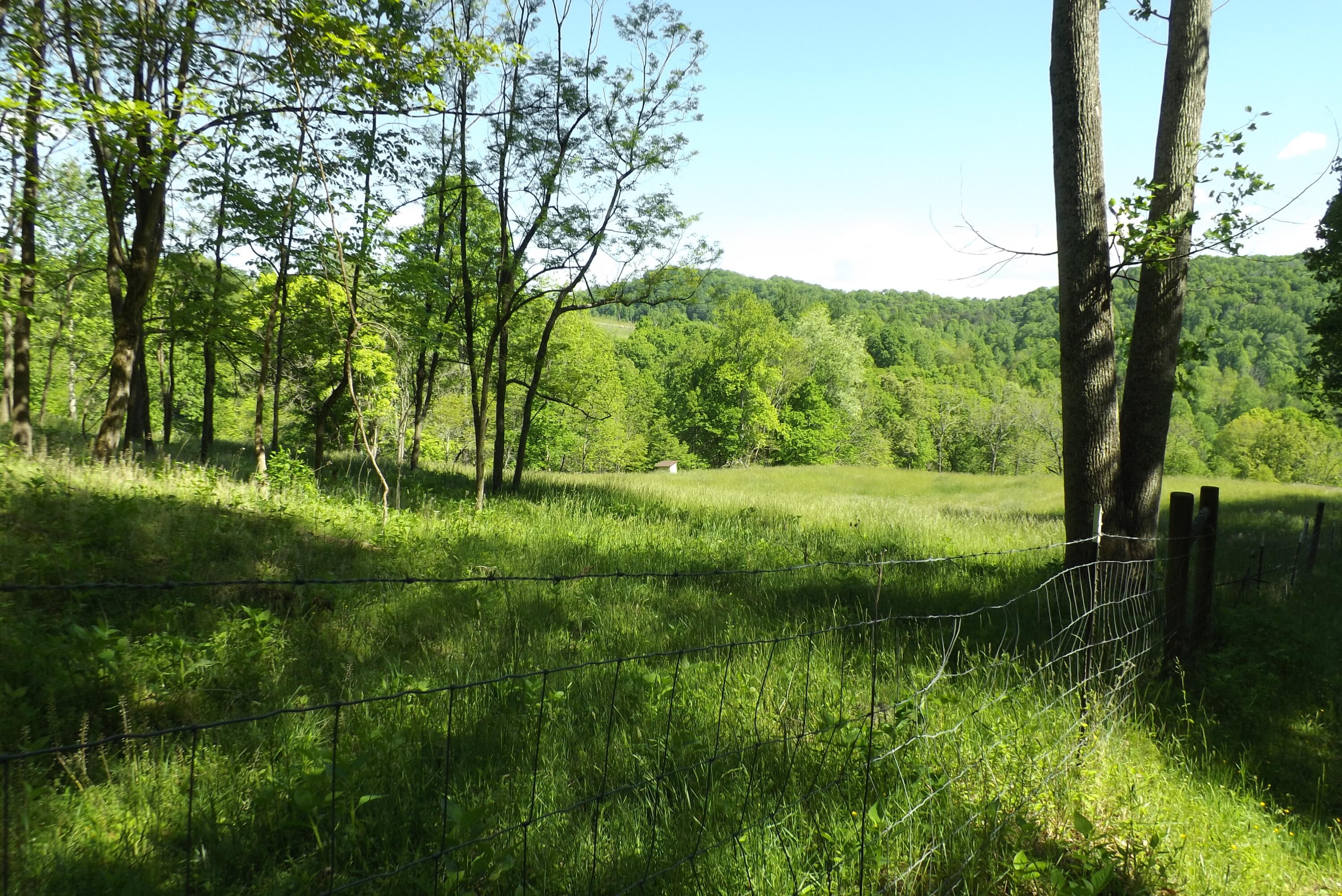 6429 Manville Road Gate City, VA 24251 - Photo 27 of 67 DSCF3696