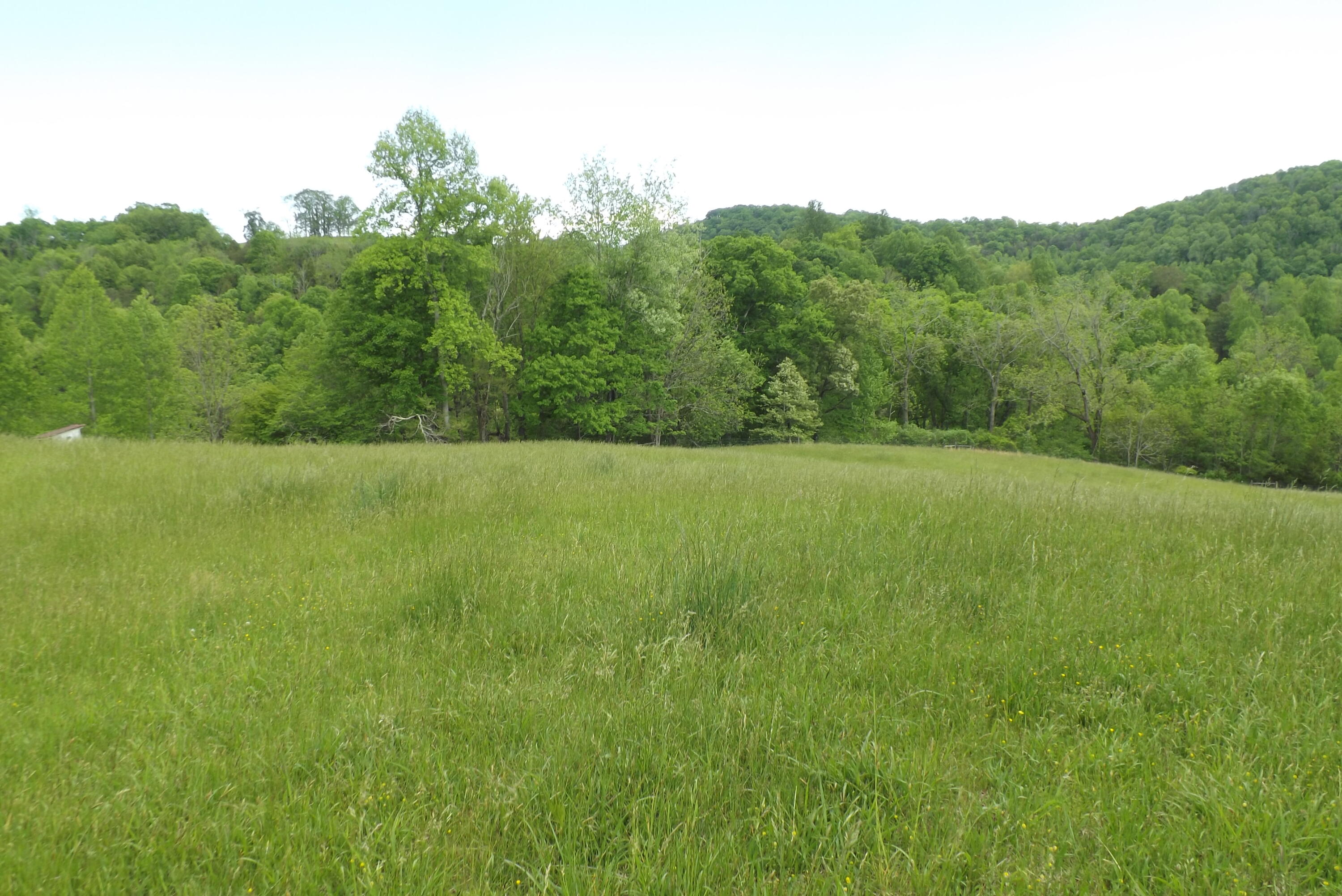 6429 Manville Road Gate City, VA 24251 - Photo 3 of 67 DSCF3672