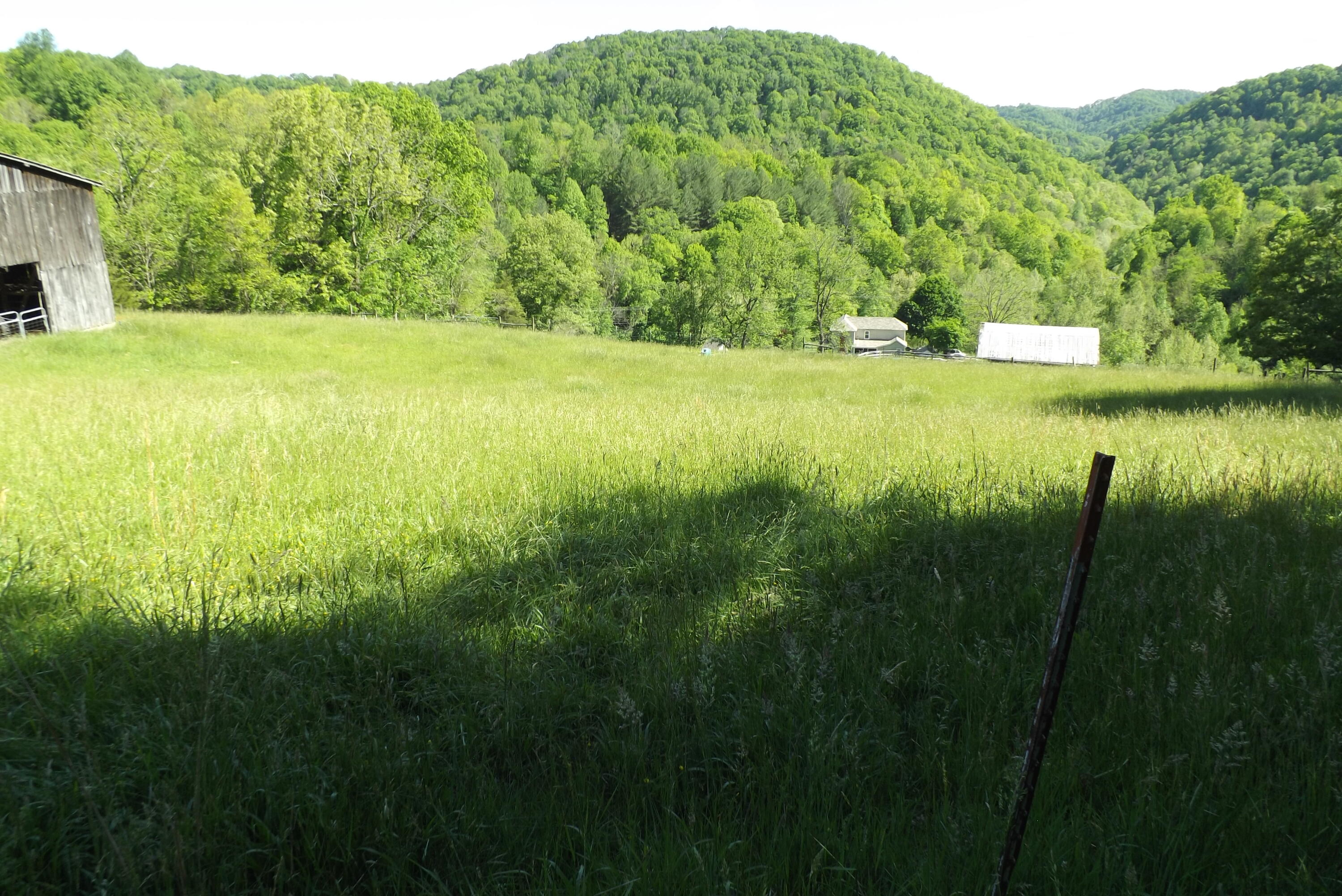 6429 Manville Road Gate City, VA 24251 - Photo 36 of 67 DSCF3705