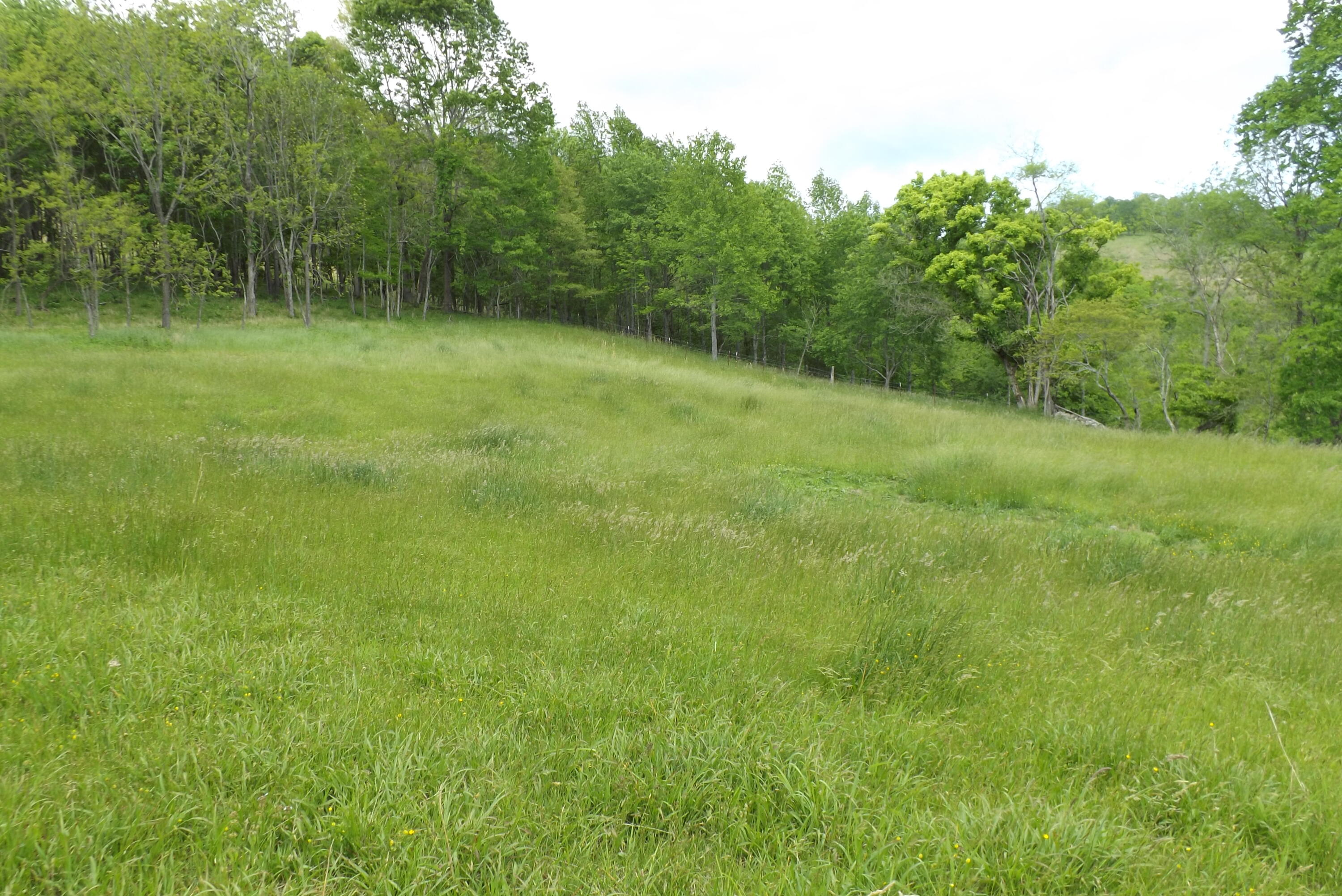 6429 Manville Road Gate City, VA 24251 - Photo 4 of 67 DSCF3673