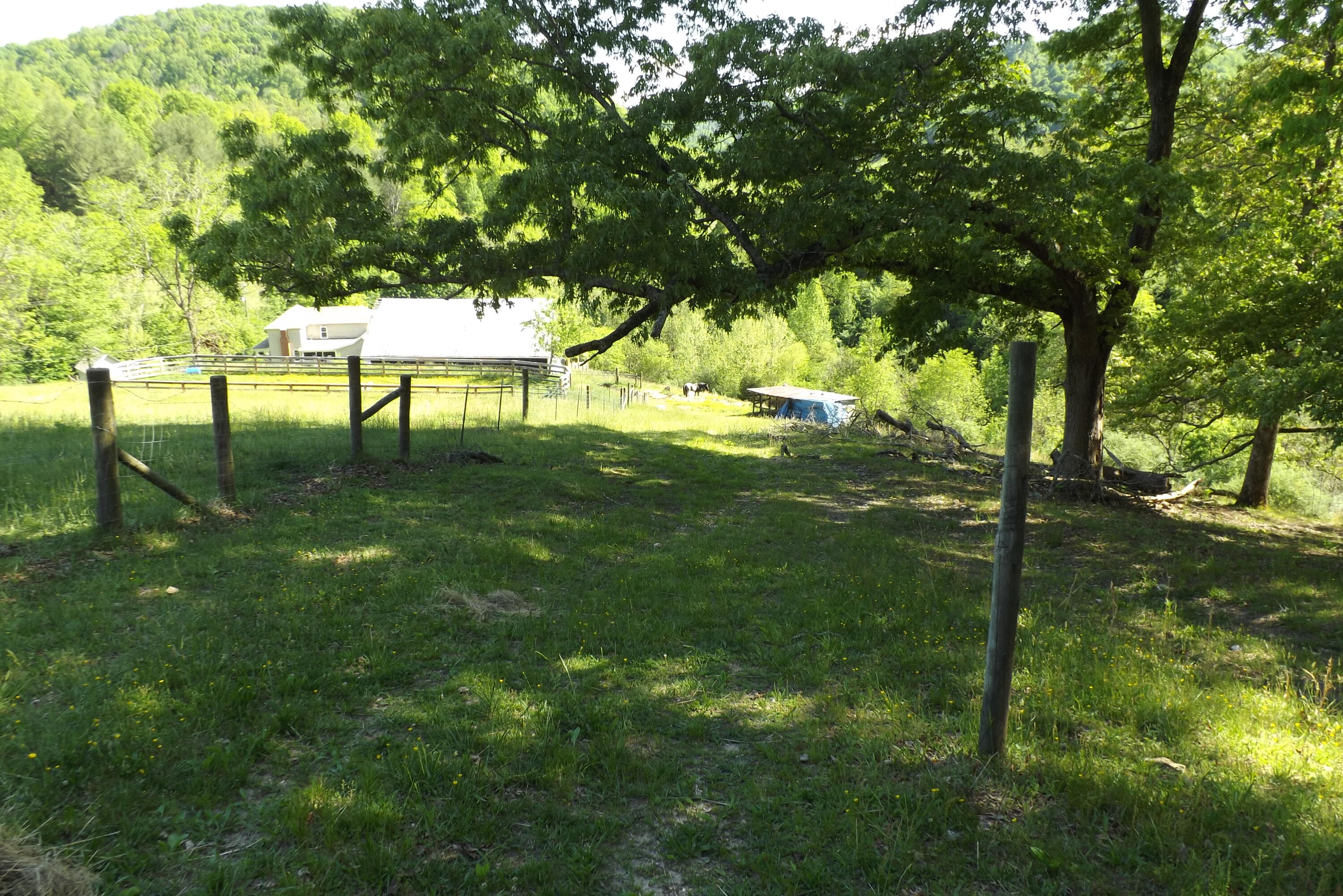 6429 Manville Road Gate City, VA 24251 - Photo 44 of 67 DSCF3713