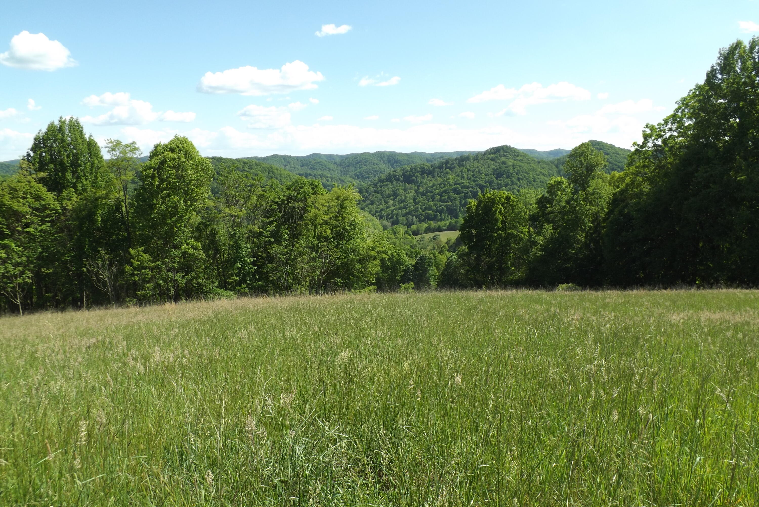 6429 Manville Road Gate City, VA 24251 - Photo 10 of 67 DSCF3679