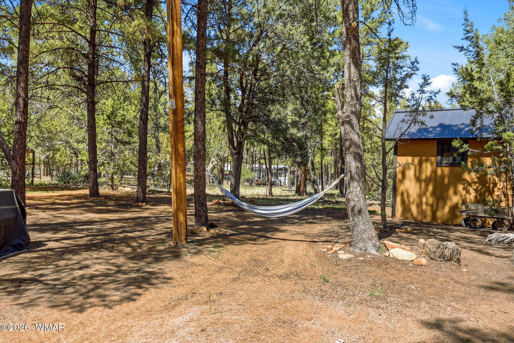 2136 Wildflower Road Overgaard, AZ 85933 - Photo 22 of 28 2136WildflowerRd-Overgaard-AZ-25