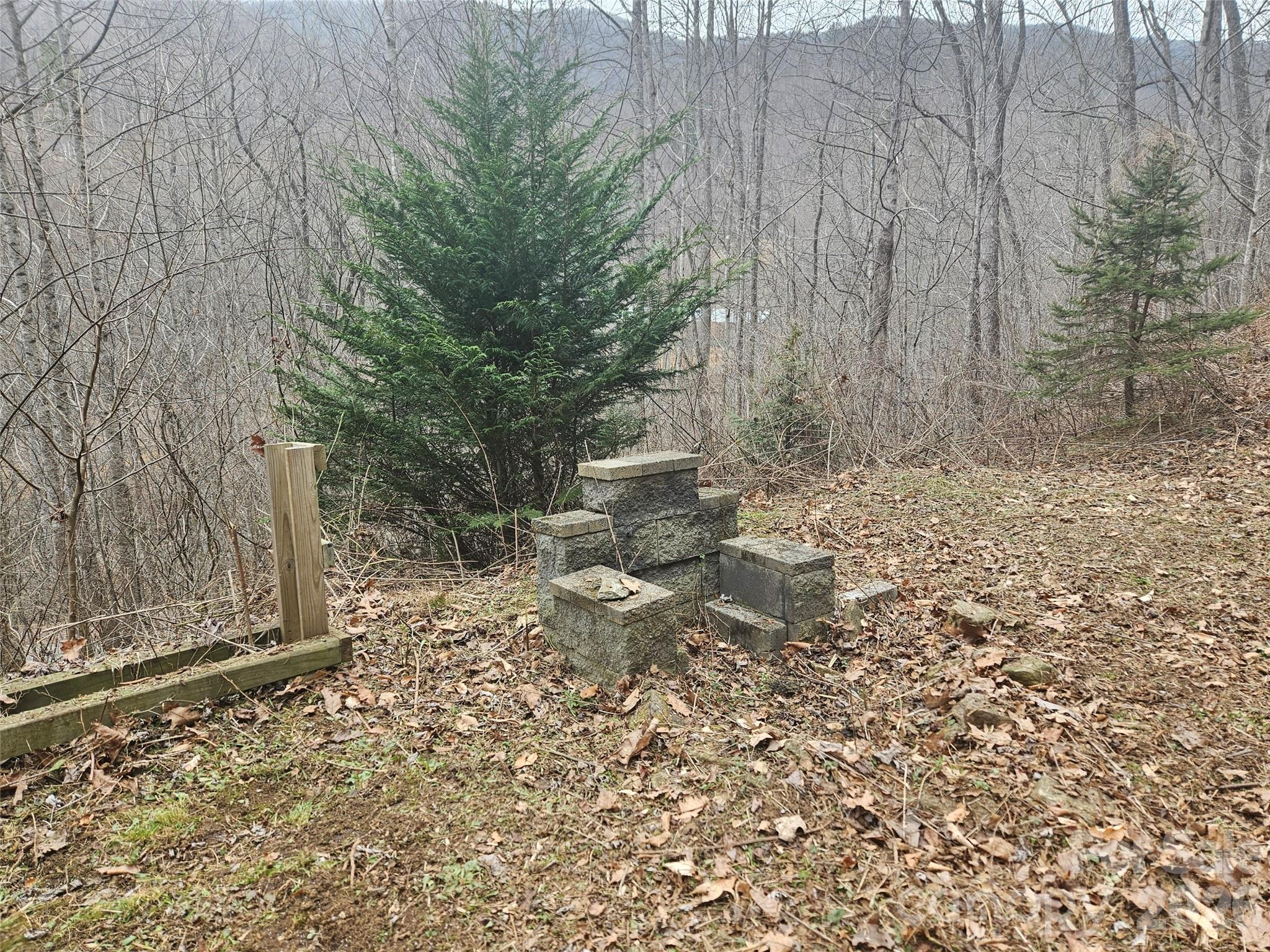 0 Icicle Ridge Sylva, NC 28779 - Photo 11 of 22