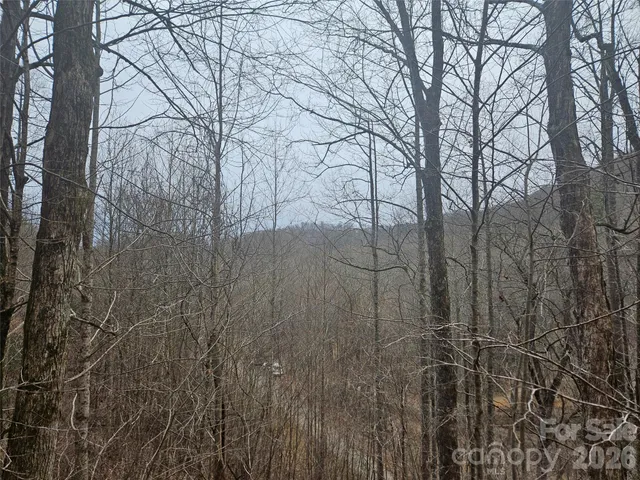 $74,000 | 0 Icicle Ridge, Sylva, NC 28779