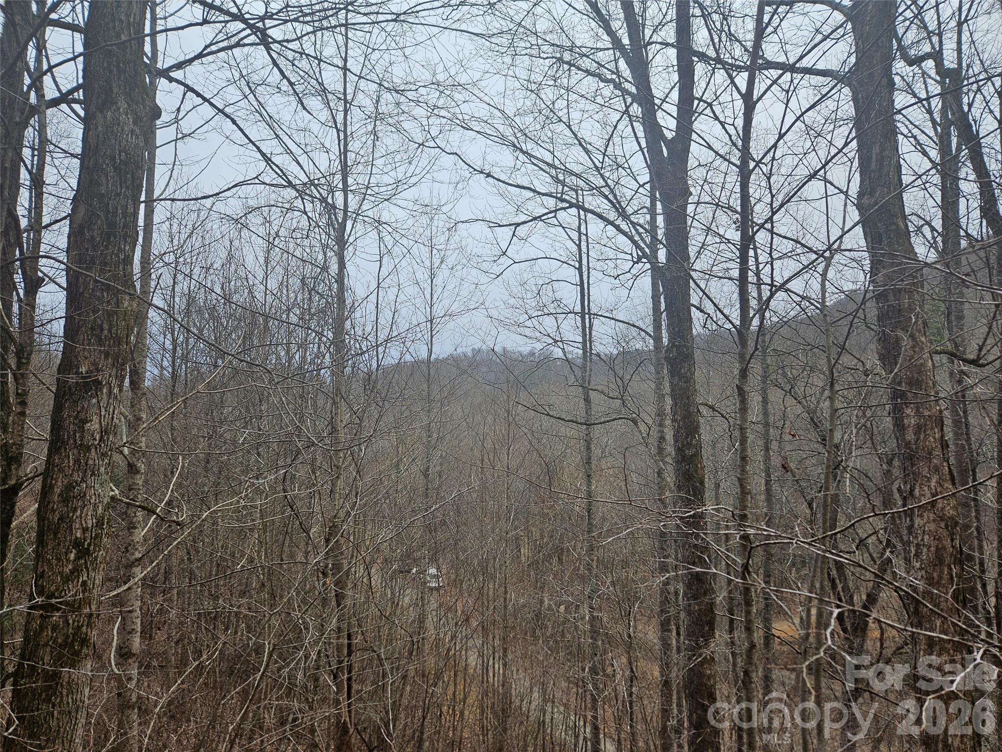 0 Icicle Ridge Sylva, NC 28779 - Photo 12 of 22