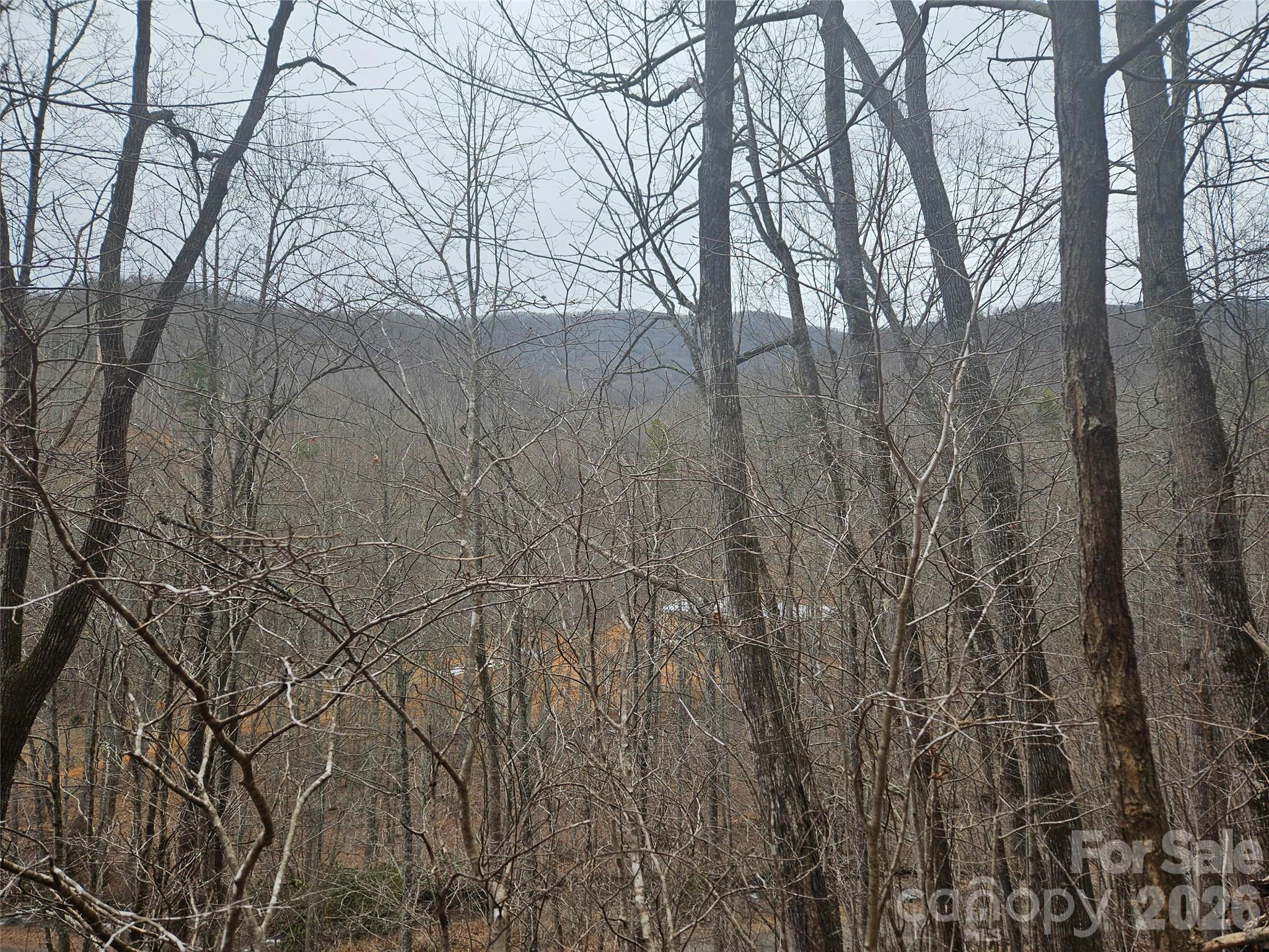 0 Icicle Ridge Sylva, NC 28779 - Photo 13 of 22