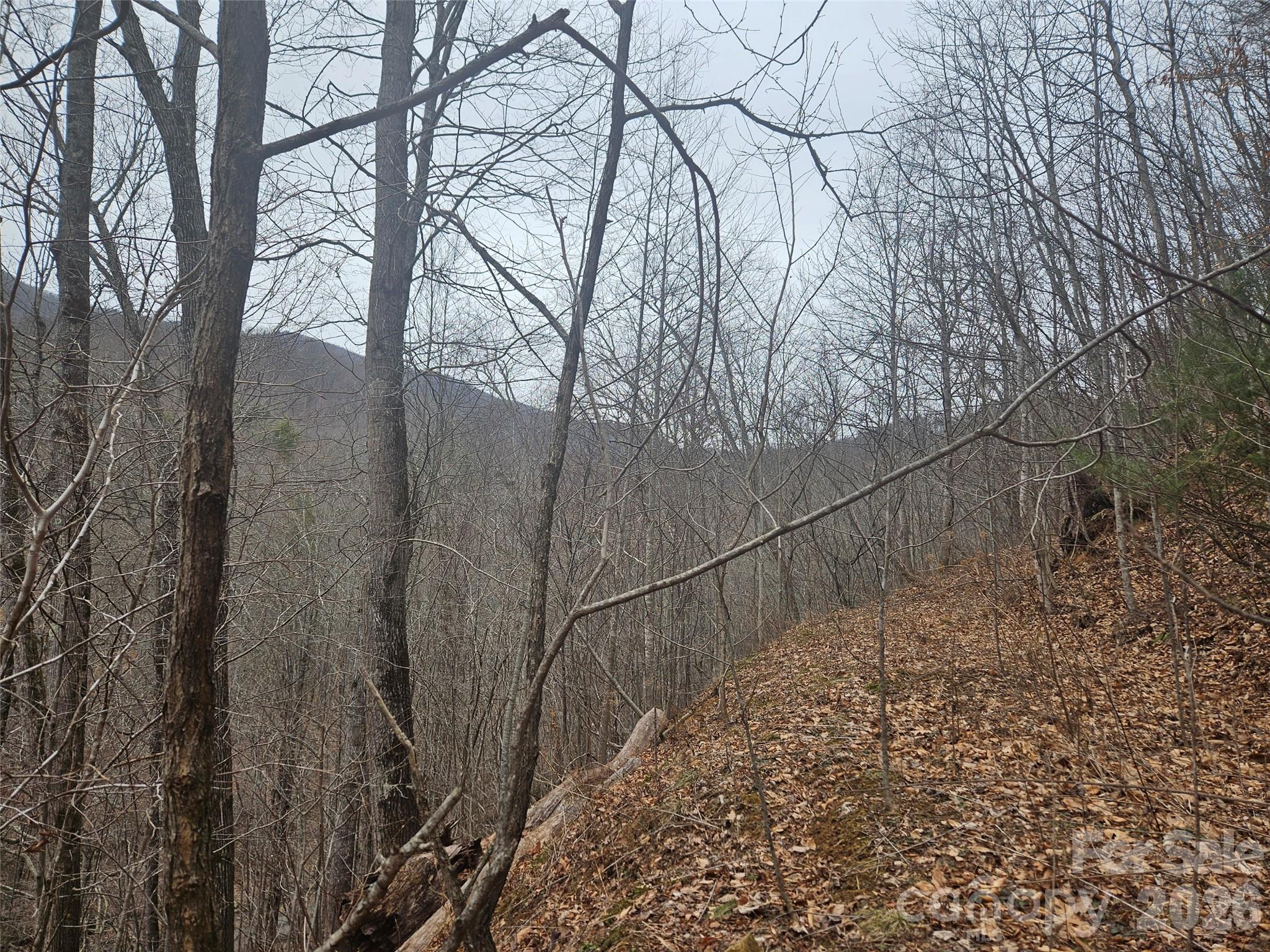 0 Icicle Ridge Sylva, NC 28779 - Photo 14 of 22