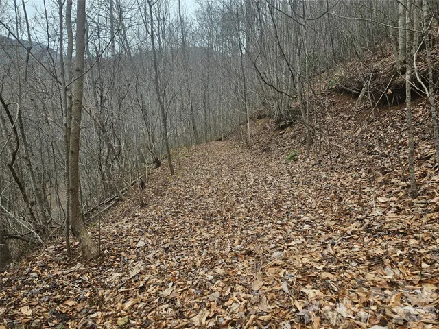 $74,000 | 0 Icicle Ridge, Sylva, NC 28779