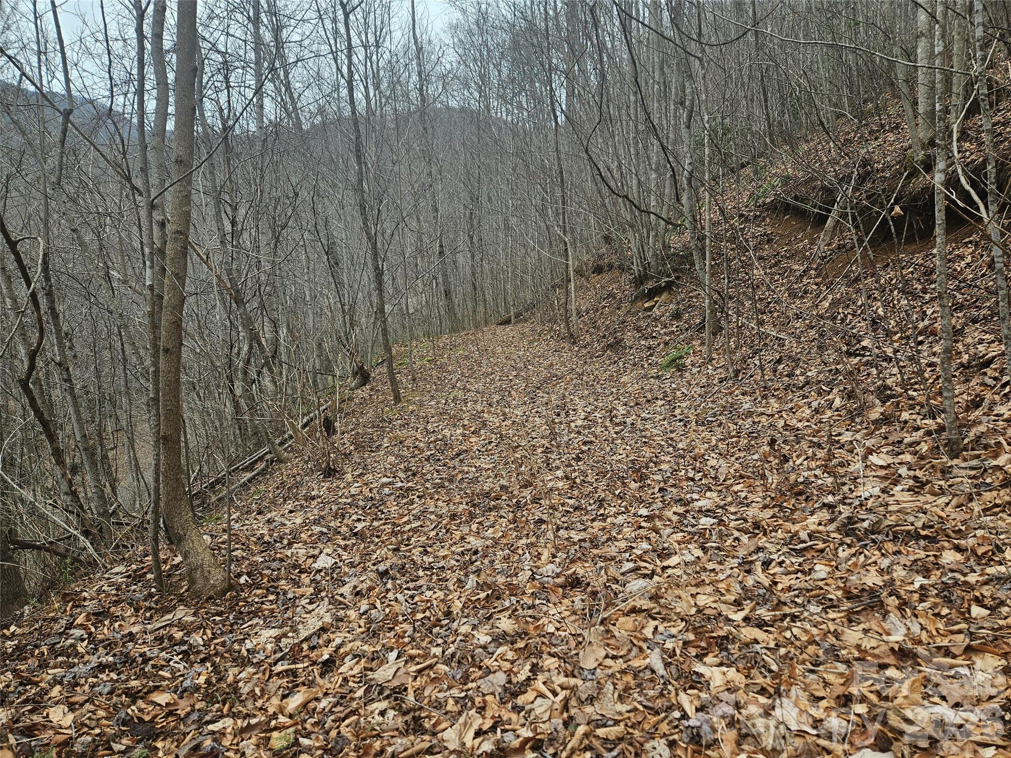 0 Icicle Ridge Sylva, NC 28779 - Photo 15 of 22