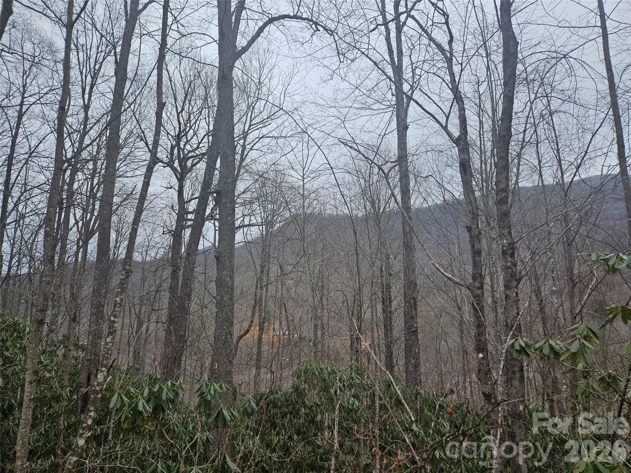 0 Icicle Ridge Sylva, NC 28779 - Photo 16 of 22