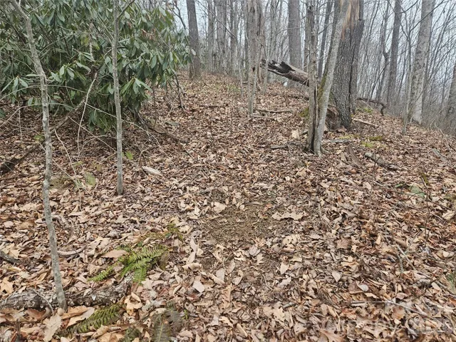 $74,000 | 0 Icicle Ridge, Sylva, NC 28779