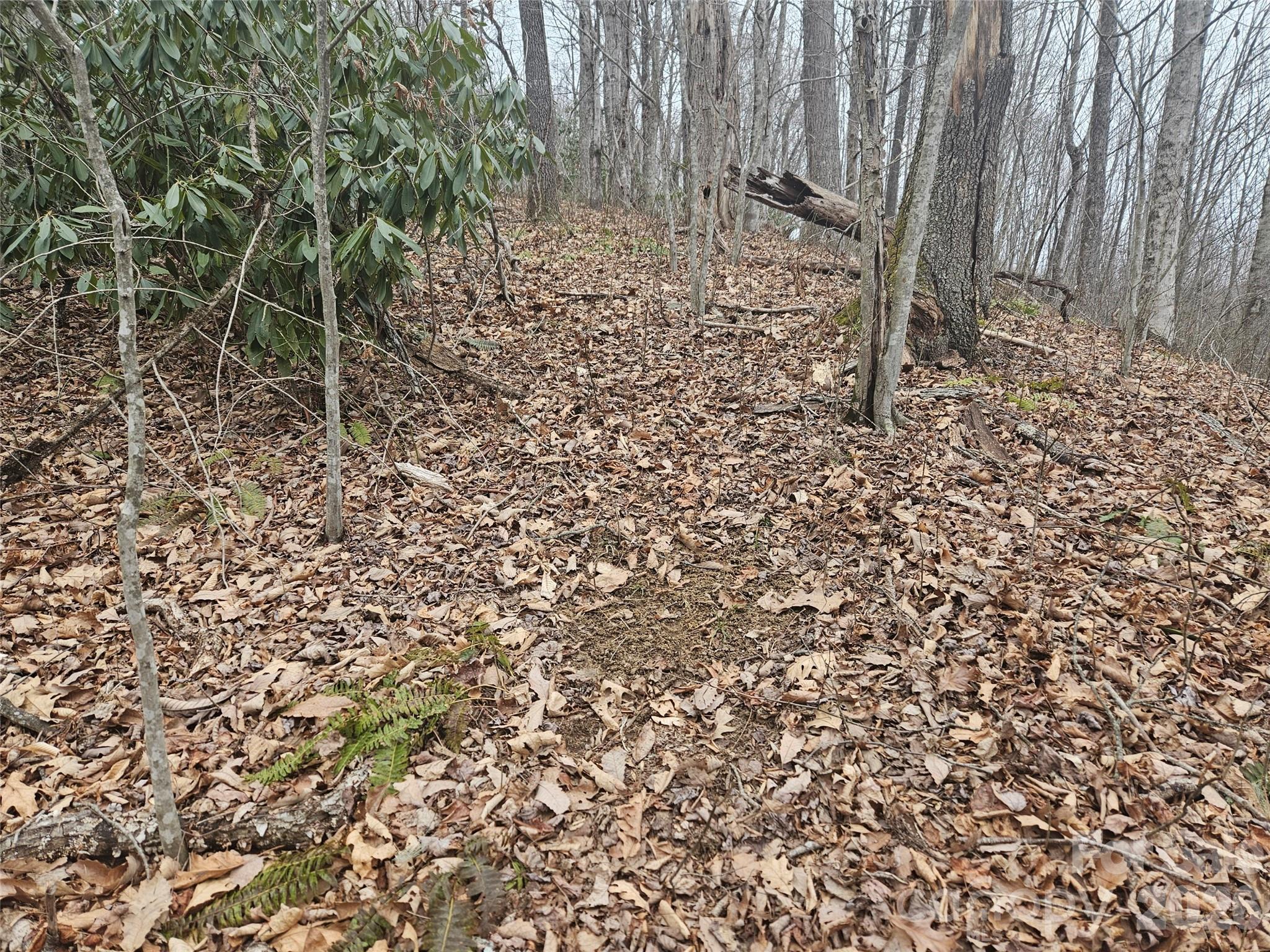 0 Icicle Ridge Sylva, NC 28779 - Photo 18 of 22