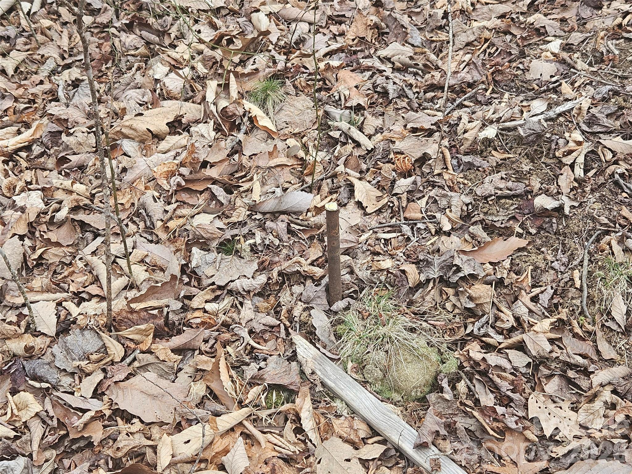 0 Icicle Ridge Sylva, NC 28779 - Photo 19 of 22