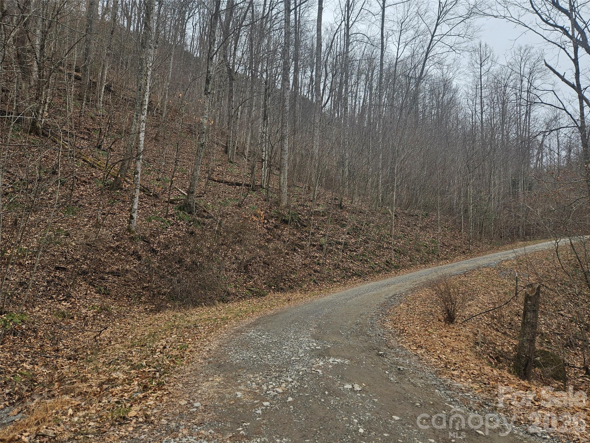 0 Icicle Ridge Sylva, NC 28779 - Photo 2 of 22
