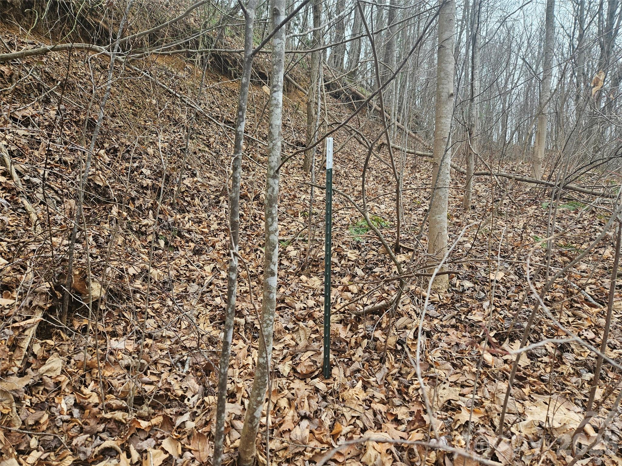 0 Icicle Ridge Sylva, NC 28779 - Photo 21 of 22