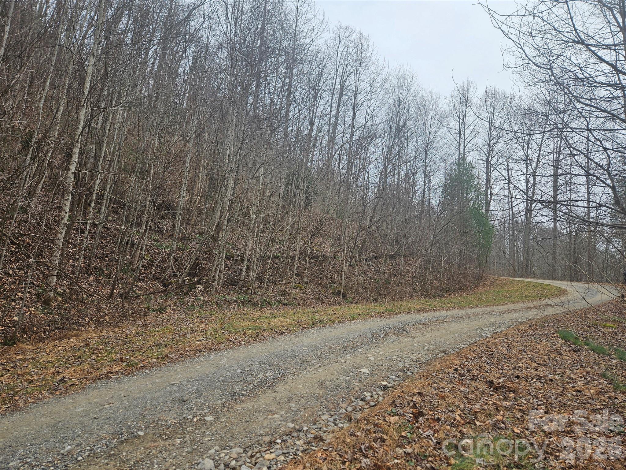 0 Icicle Ridge Sylva, NC 28779 - Photo 3 of 22