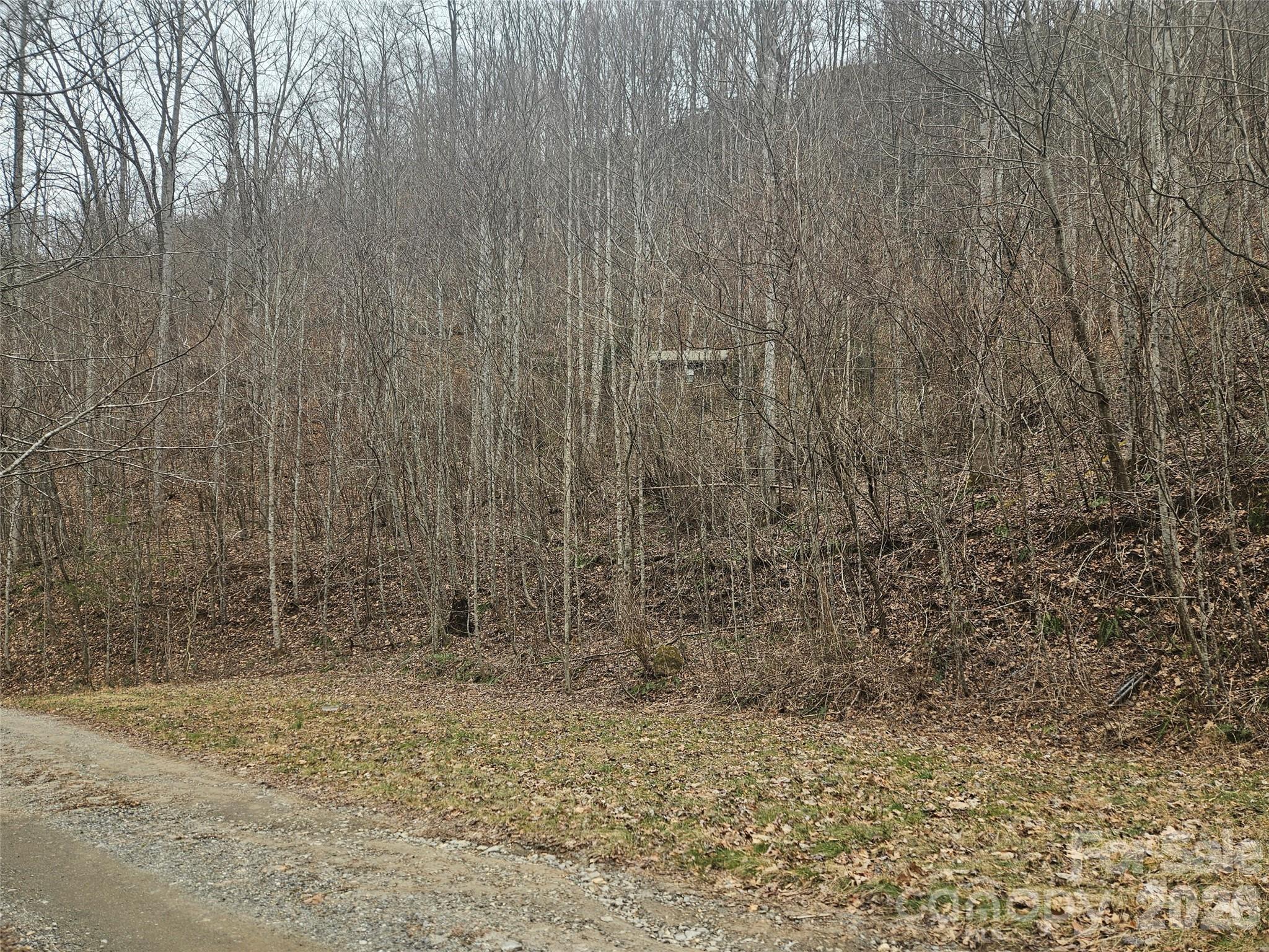 0 Icicle Ridge Sylva, NC 28779 - Photo 4 of 22