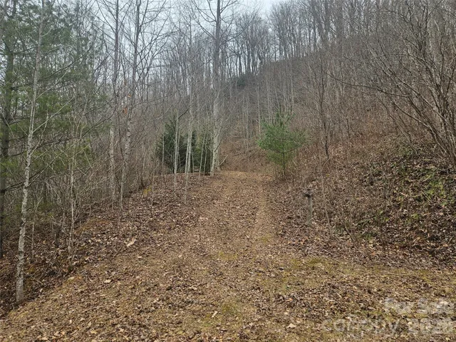 $74,000 | 0 Icicle Ridge, Sylva, NC 28779