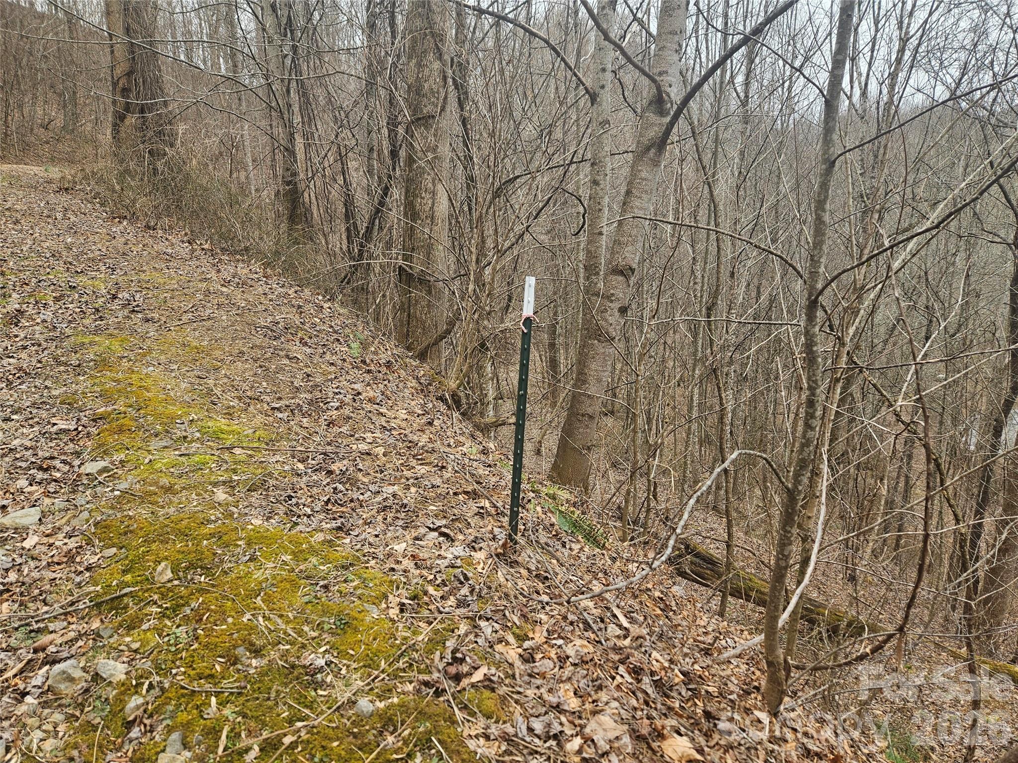 0 Icicle Ridge Sylva, NC 28779 - Photo 6 of 22