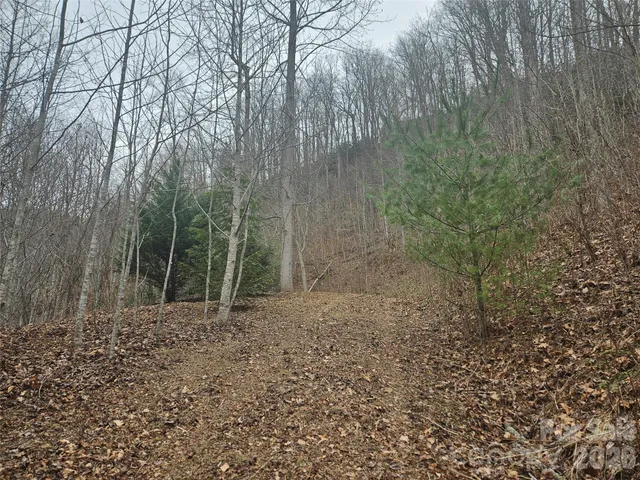 $74,000 | 0 Icicle Ridge, Sylva, NC 28779