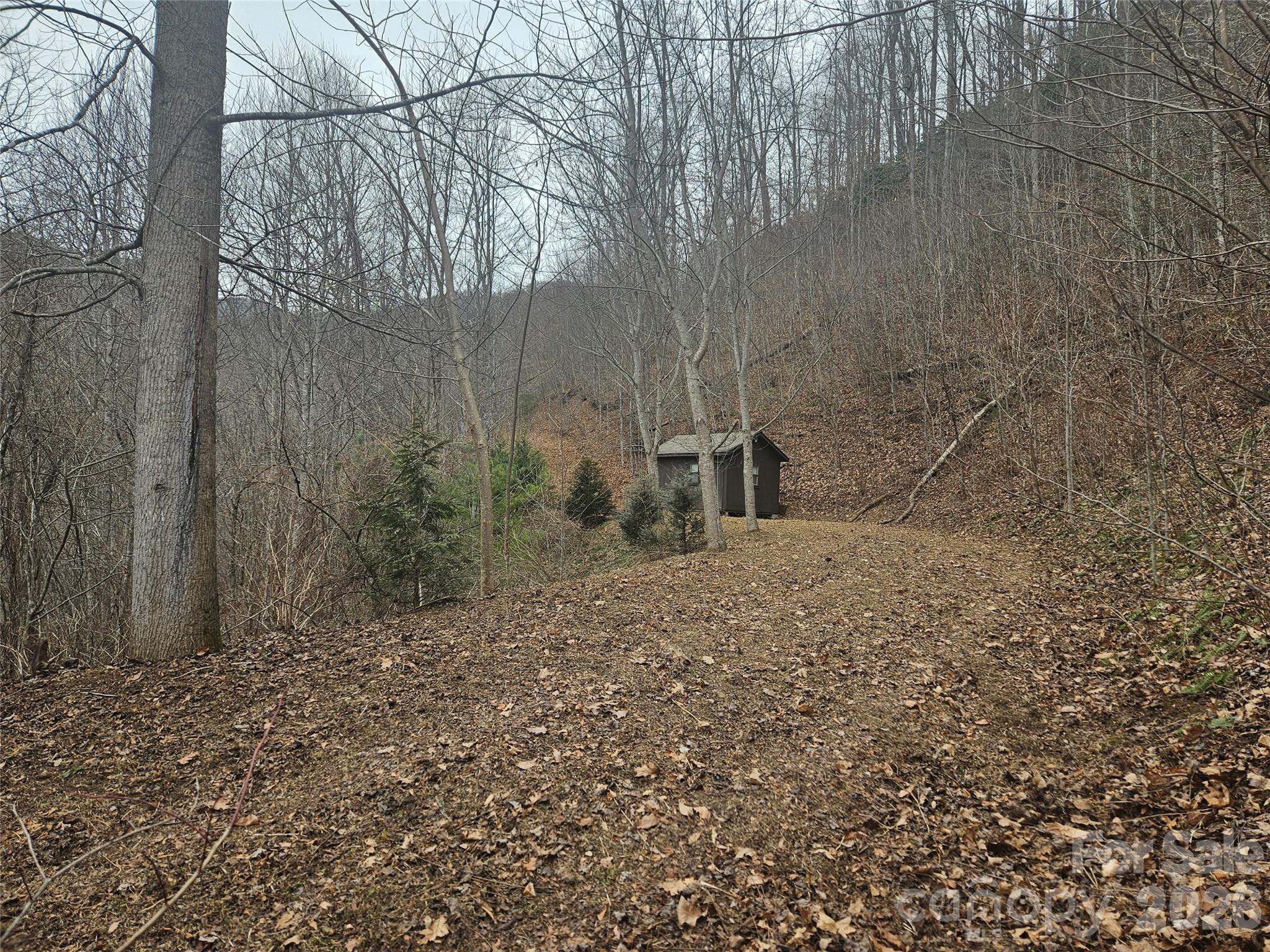 0 Icicle Ridge Sylva, NC 28779 - Photo 8 of 22