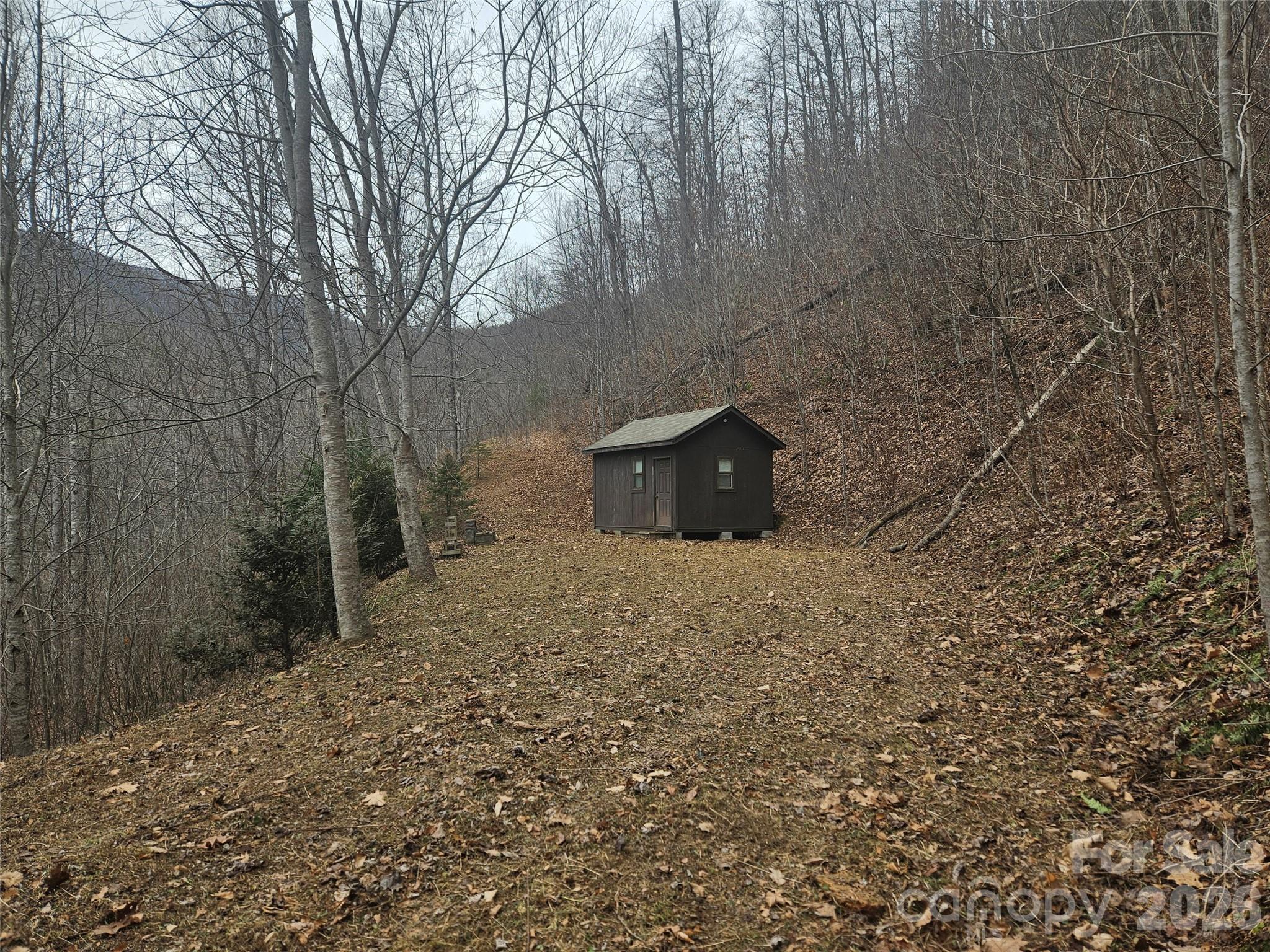 0 Icicle Ridge Sylva, NC 28779 - Photo 9 of 22