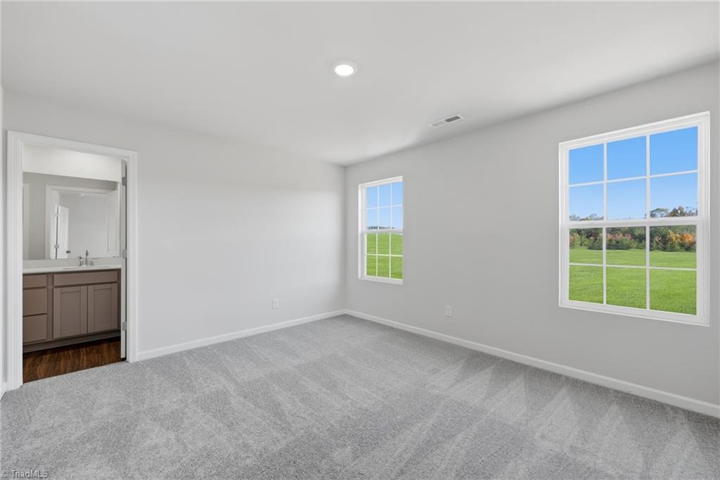 179 Plumtree Court King, NC 27021 - Photo 20 of 30